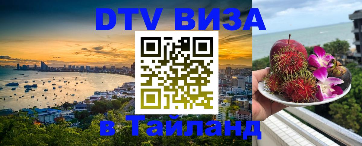Оформление DTV визы под ключ: стоимость и тарифы, только загранпаспорт - Ставрополь 